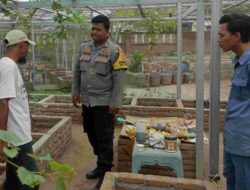 Bhabinkamtibmas Desa Jembatan Gantung: Himbauan Ketahanan Pangan & Kamtibmas Jelang Pilkada 2024