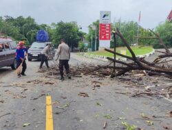 Pohon Tumbang Tutupi Jalan, Polsek Kayangan bersama Damkar Respon Cepat
