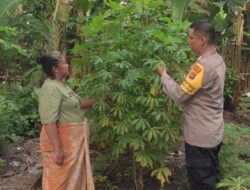 Ketahanan Pangan di Lombok Barat, Bhabinkamtibmas Jadi Penggerak Utama