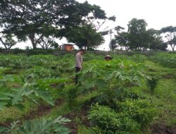 Kolaborasi Polri & Petani, Wujudkan Ketahanan Pangan di Lombok Barat