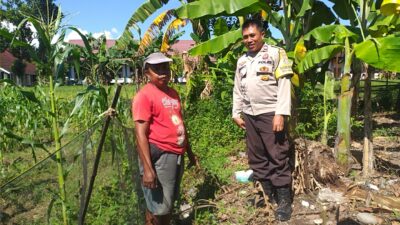 Sinergi Polri dan Warga, Polsek Kuripan Gencarkan Program Ketahanan Pangan