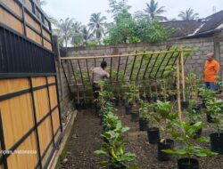 Ketahanan Pangan: Polsek Kuripan Gencar Sosialisasi Berkebun di Pekarangan