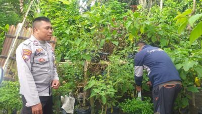 Polsek Kuripan Turun ke Lapangan, Gerakkan Warga Wujudkan Ketahanan Pangan