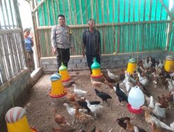 Kunjungi Peternak Ayam, Bhabinkamtibmas Desa Jagaraga Sosialisasikan Ketahanan Pangan