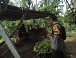 Ketahanan Pangan Dimulai dari Rumah: Bhabinkamtibmas Beri Edukasi Warga