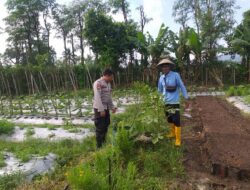 Polsek Kuripan Sosialisasikan Pemanfaatan Lahan untuk Ketahanan Pangan