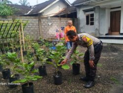 Silaturahmi Bernilai Strategis: Ketahanan Pangan di Desa Kuripan Utara Diperkuat