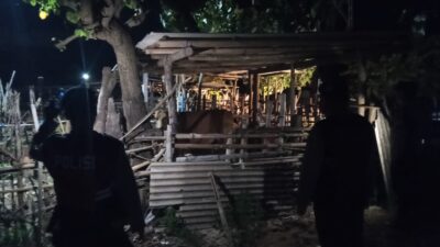 Upaya Polsek Sekotong Antisipasi Kejahatan Ternak di Kecamatan Sekotong
