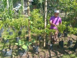 Sinergi Polisi dan Warga Lombok Barat Wujudkan Program Ketahanan Pangan