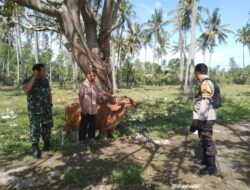 Batulayar Barat Perkuat Ketahanan Pangan Berbasis Rumah Tangga