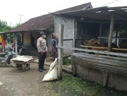 Peran Aktif Bhabinkamtibmas di Kuripan dalam Program Ketahanan Pangan Nasional