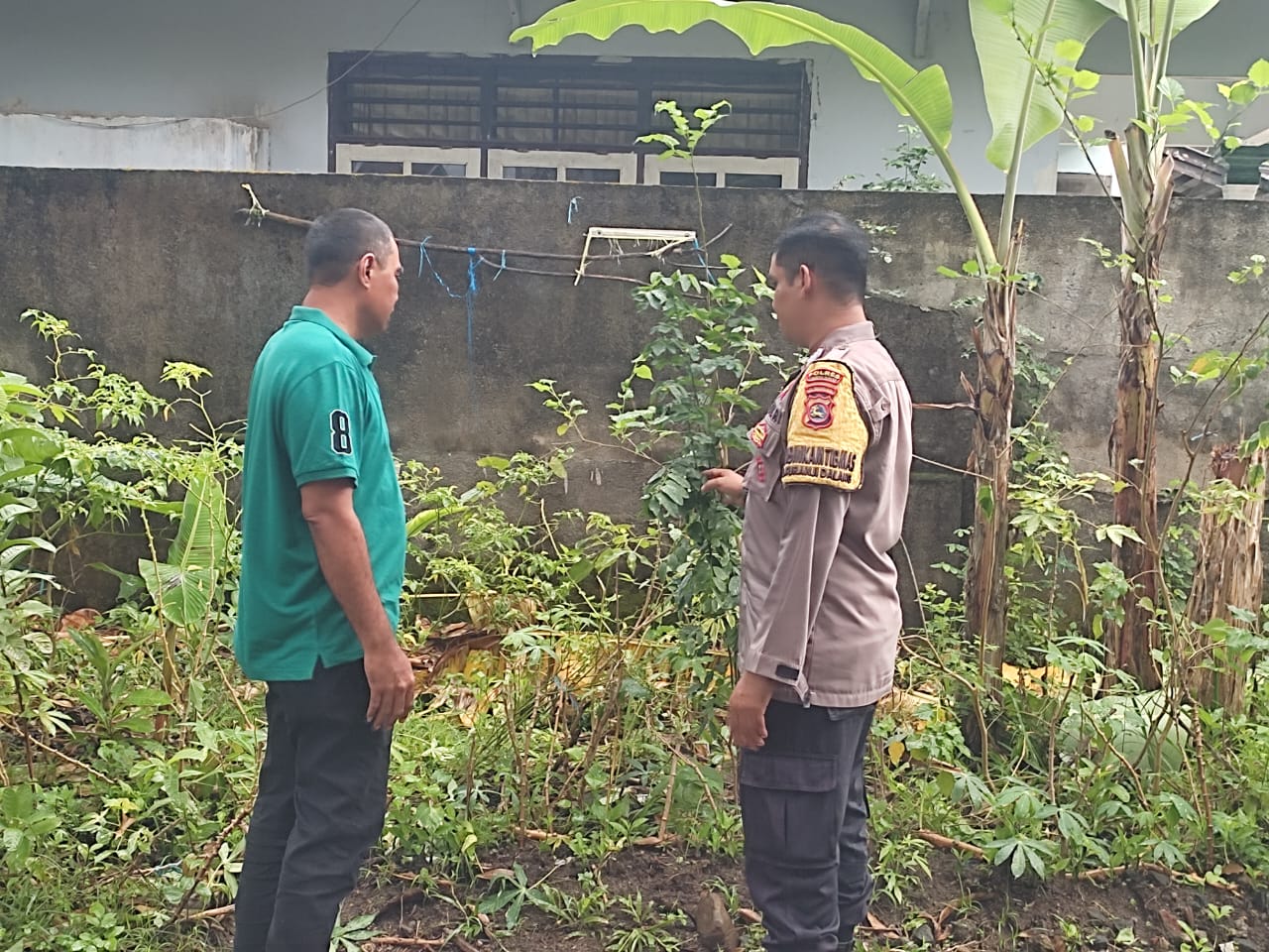 Dukung Ketahanan Pangan, Warga Desa Kuranji Dalang Tanam Sayuran di Pekarangan