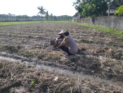 Bhabinkamtibmas Desa Kuripan Beri Motivasi Pemanfaatan Pekarangan untuk Ketahanan Pangan