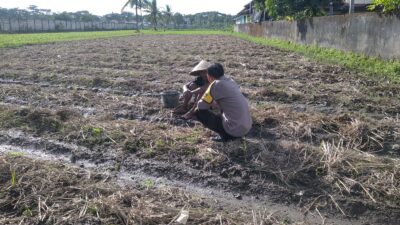 Bhabinkamtibmas Desa Kuripan Beri Motivasi Pemanfaatan Pekarangan untuk Ketahanan Pangan