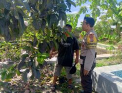 Program Ketahanan Pangan Desa Terong Tawah: Peran Bhabinkamtibmas dalam Pengecekan Lahan dan Pemantauan Harga