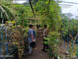 Pemuda Kuripan Utara Dilibatkan dalam Program Ketahanan Pangan Lokal