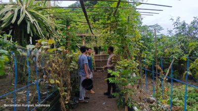 Pemuda Kuripan Utara Dilibatkan dalam Program Ketahanan Pangan Lokal