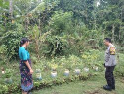 Silaturahmi dan Edukasi Pangan: Polsek Batulayar Bangun Kemandirian Warga