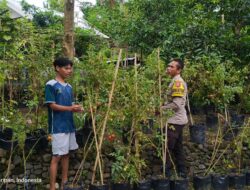 Kunjungan Bhabinkamtibmas: Edukasi Pemuda tentang Ketahanan Pangan Pekarangan