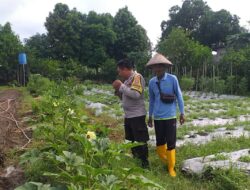 Optimalisasi Lahan untuk Ketahanan Pangan: Langkah Nyata Polri di Lombok Barat