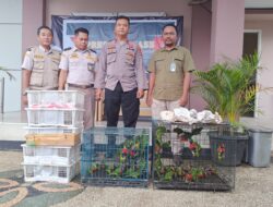 Balai Karantina NTB dan Polisi Gagalkan Perdagangan Burung Ilegal di Pelabuhan Lembar