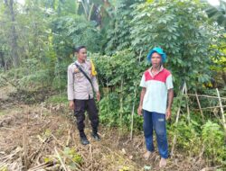 Polri Kawal Ketahanan Pangan, Warga Rumak Tanam Palawija di Pekarangan