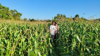 Pendampingan Polri di Dusun Tendaun Dorong Produktivitas Jagung Lokal