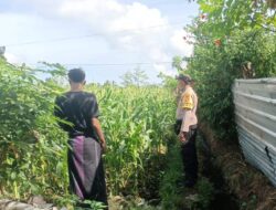Sinergi Polri dan Petani di Desa Ombe Baru, Lombok Barat