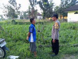 Pemanfaatan Pekarangan Rumah Didorong Bhabinkamtibmas di Kuripan