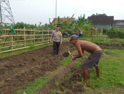 Sinergi Polri dan Warga Jagaraga Wujudkan Pangan Mandiri