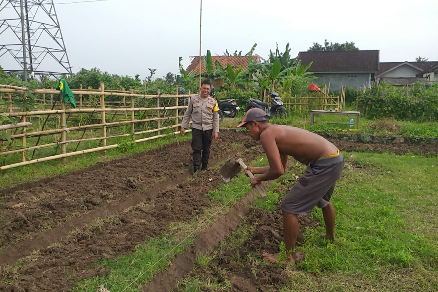 Lahan Pekarangan di Jagaraga Jadi Solusi Ketahanan Pangan