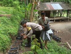 Inovasi Ketahanan Pangan dari Lombok Barat: Optimalisasi Lahan Pekarangan Warga