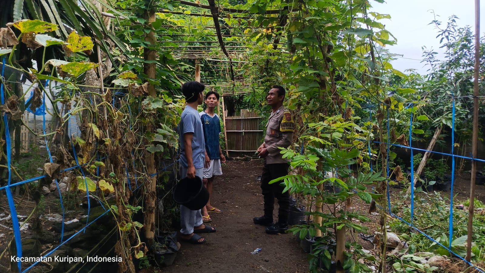 Pemuda Pesongoran Bergerak Wujudkan Kemandirian Pangan