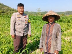 Peran Polsek Lembar dalam Ketahanan Pangan Desa