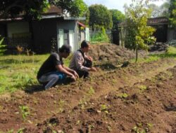 Swasembada Pangan, Polres Lombok Barat Terjun Langsung ke Masyarakat