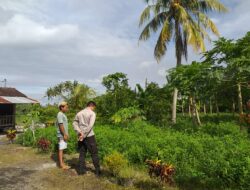 Sinergi Petani dan Polri Wujudkan Ketahanan Pangan di Desa Jagaraga