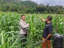Sinergi Polri dan Petani di Lembar, Ketahanan Pangan Jadi Prioritas