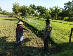 Polri di Lombok Barat Galakkan Ketahanan Pangan Skala Rumah Tangga