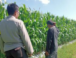 Polsek Gerung Intensifkan Sambang Desa Jembatan Kembar