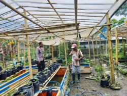 Sinergi Polri dan Warga Bajur dalam Mewujudkan Ketahanan Pangan Berkelanjutan