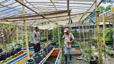 Bhabinkamtibmas Desa Bajur Dorong Kemandirian Pangan Warga Tempit