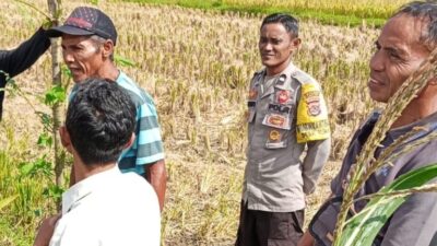 Sinergi Polri dan Warga Desa Rumak Wujudkan Swasembada Pangan dari Pekarangan
