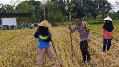 Sosialisasi Pupuk Subsidi Tanpa Biaya oleh Bhabinkamtibmas di Kuripan Utara