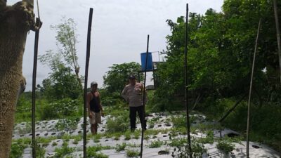 Bersama Petani Desa Jagaraga, Bhabinkamtibmas Bangun Kemandirian Pangan Keluarga