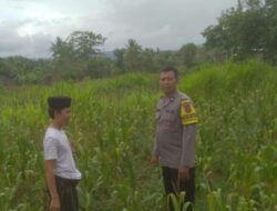 DDS di Dusun Long Longan: Polisi Ajak Petani Manfaatkan Lahan Kosong