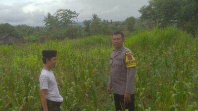 DDS di Dusun Long Longan: Polisi Ajak Petani Manfaatkan Lahan Kosong