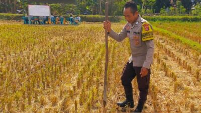 Sinergi Polri dan Petani Dusun Perengge Kuah Dukung Program Pangan Nasional