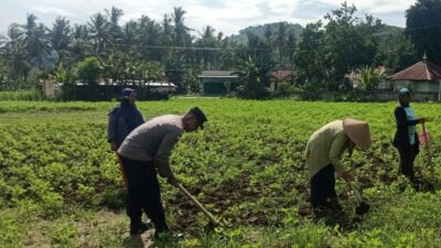 Sinergi Polisi-Warga Kuripan, Ketahanan Pangan Dimulai dari Pekarangan