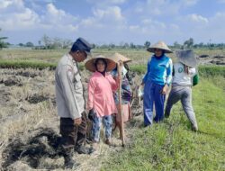 Polisi Ajak Warga Montong Are Tengah Tanam Jagung untuk Ketahanan Pangan
