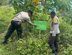 Sinergi Ketahanan Pangan: Pemanfaatan Hutan Mareje Timur untuk Tumpang Sari